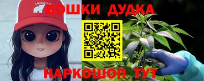 mdpv Гатчина