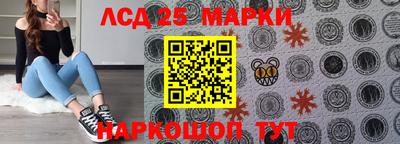 mdpv Гатчина
