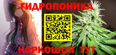 индика Гай