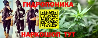 mdpv Гатчина