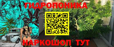 индика Гай