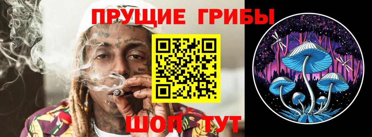 Заринск  Псилоцибиновые грибы мухоморы  Вход с VPN 
